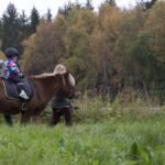 Hamburgerracet 2017 Hamburgerracet 2017