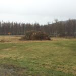 Valborg 2014